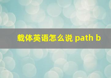 载体英语怎么说 path b